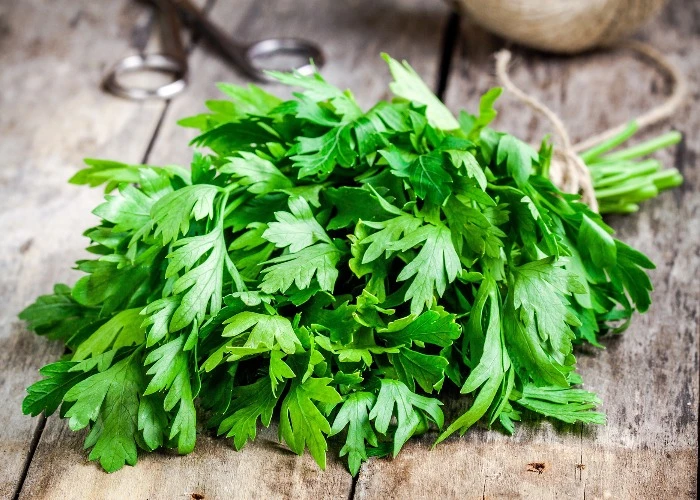 Flat-leaf parsley a key ingredient in this delicious Sicily
