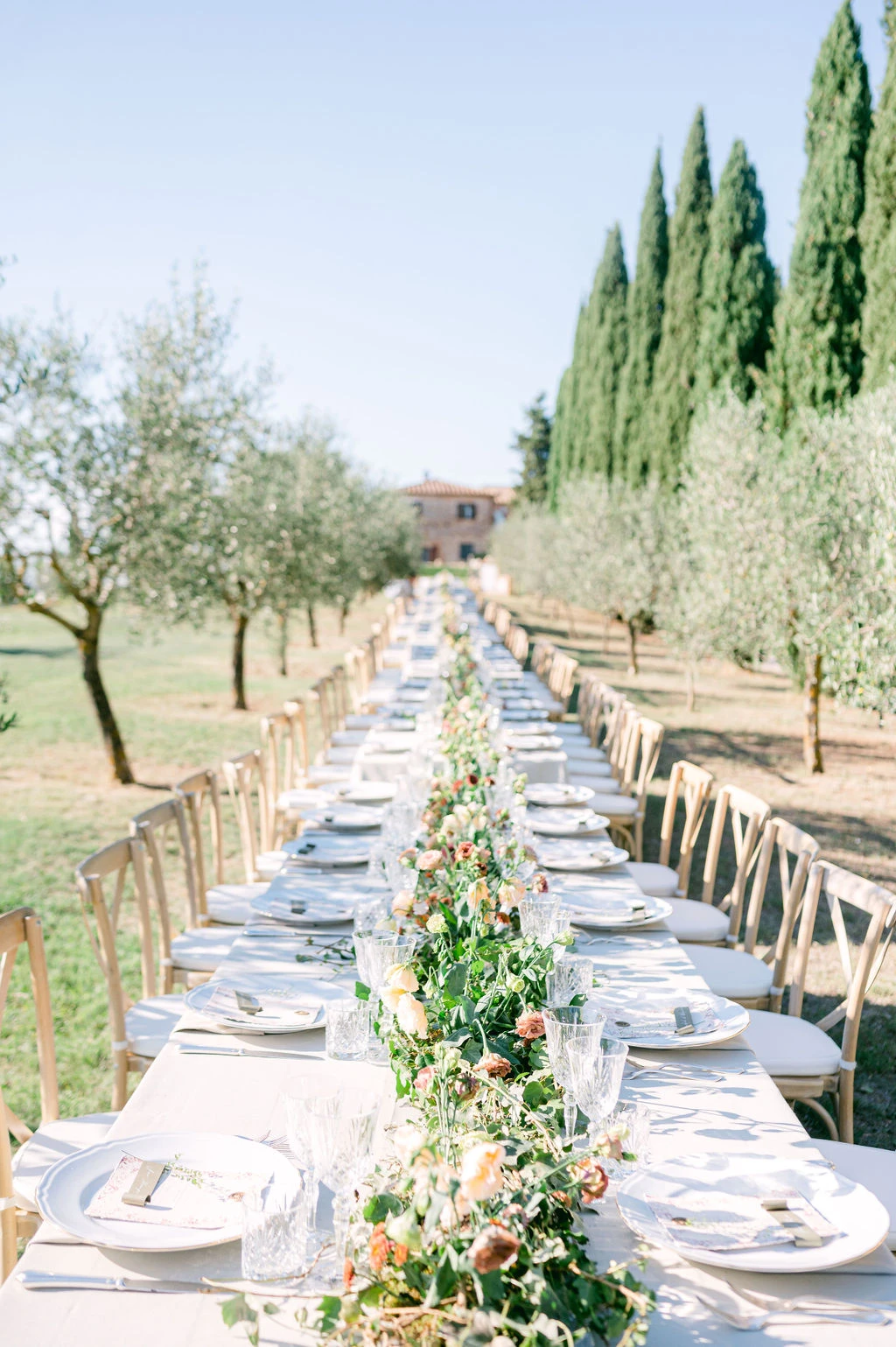 A wedding lunch set among the olive groves in Tuscany