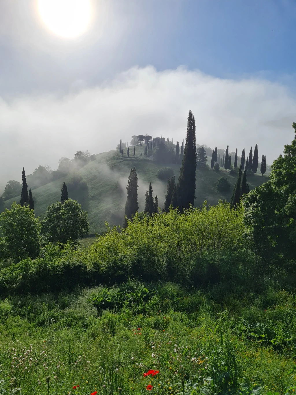 Mist in Umbria, Italy