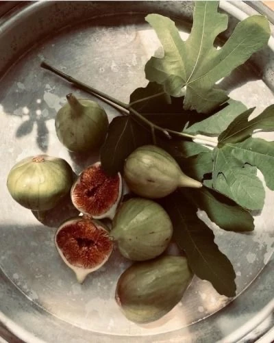 Fresh Figs from the garden