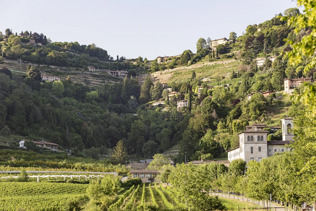 Bergamo, a place for food, wine and long hikes!