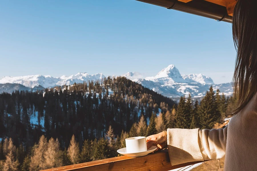 Alpine Ski Hotel