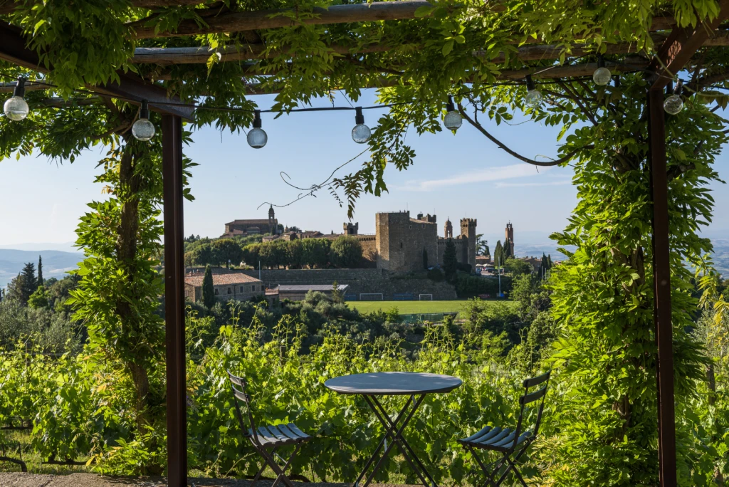een prachtig uitzicht op Montalcino, 7 minuten wandeling van de Villa