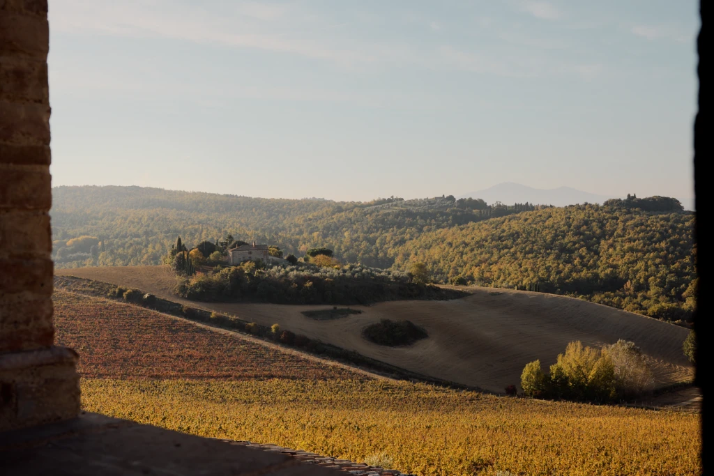 The beautiful view from the loggia