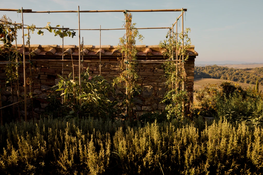 Podere Invidia ligt boven op de berg met panoramisch uitzicht, vlakbij het historische dorpje Trequanda