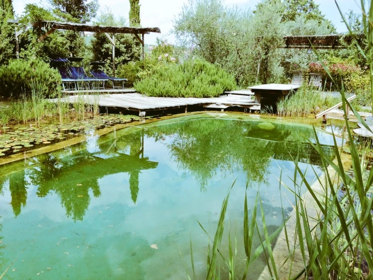 The natural swimming pond is brilliant, no chemicals added... and  no damage to my skin and hair