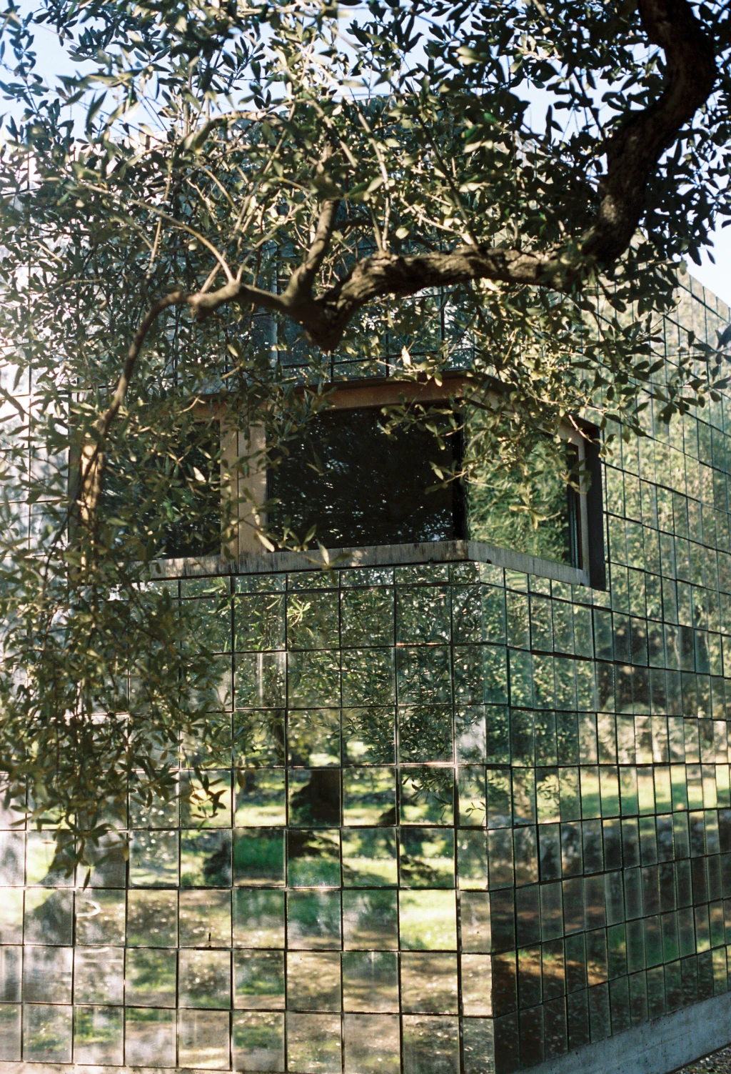 Wai Lin Tse