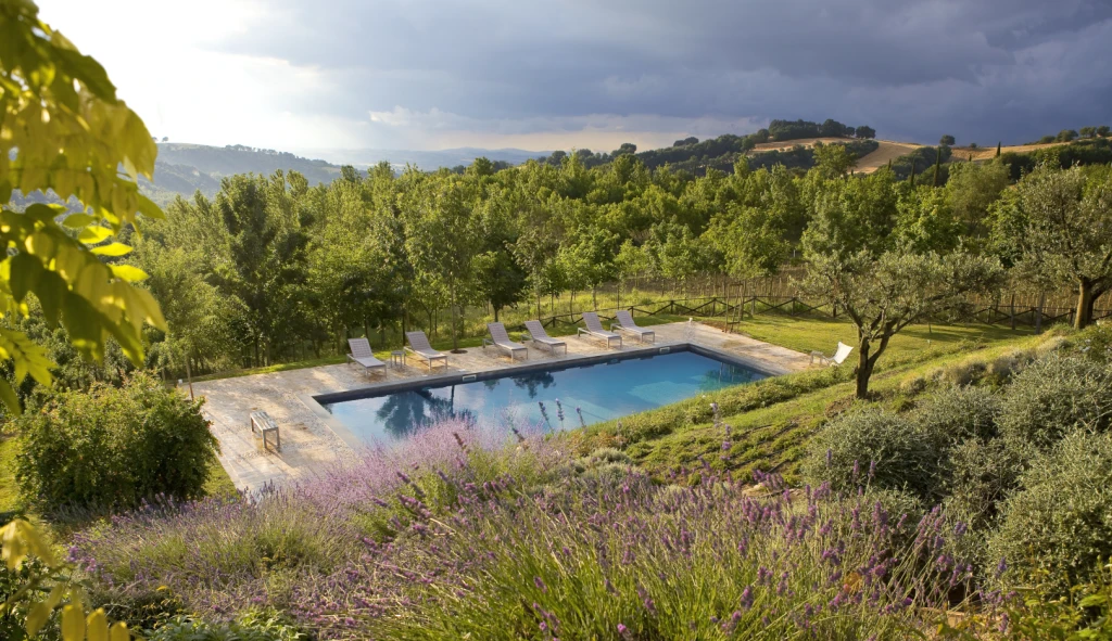 A fabulous pool nestled into the groves below