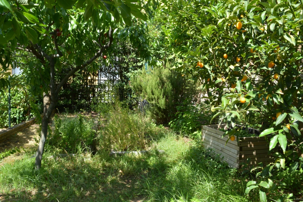 The fruit trees and fresh vegetables are very tasty and guest have access to it all