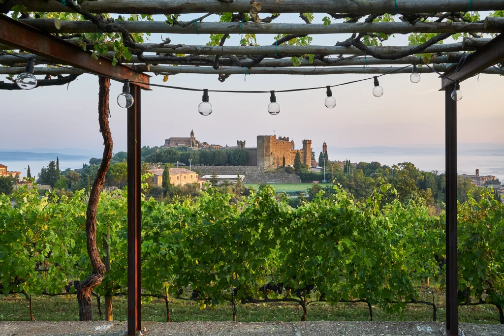 Uitzicht op Montalcino, wereld beroemd om de Brunello wijnen