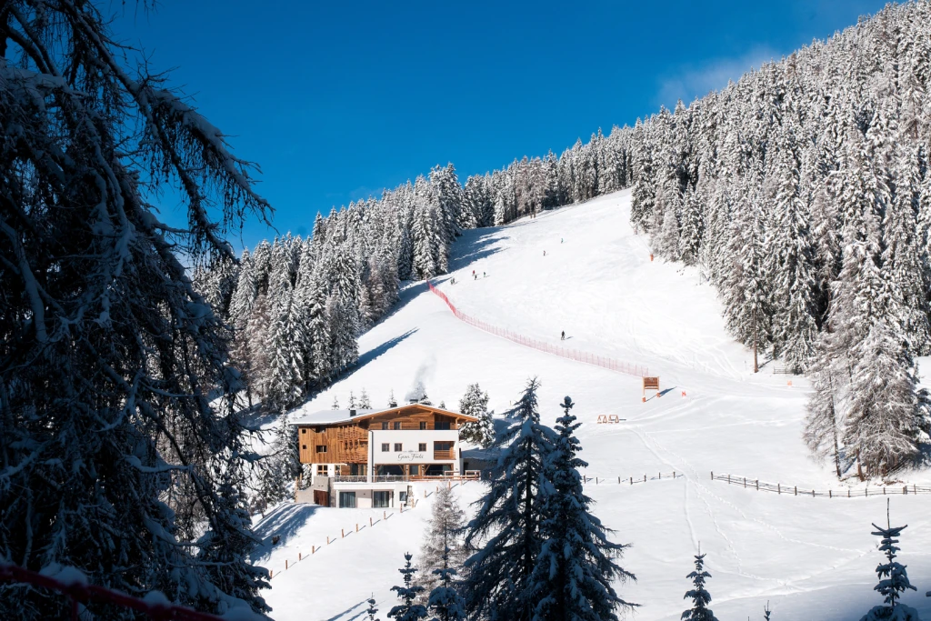 Alpine Ski Hotel