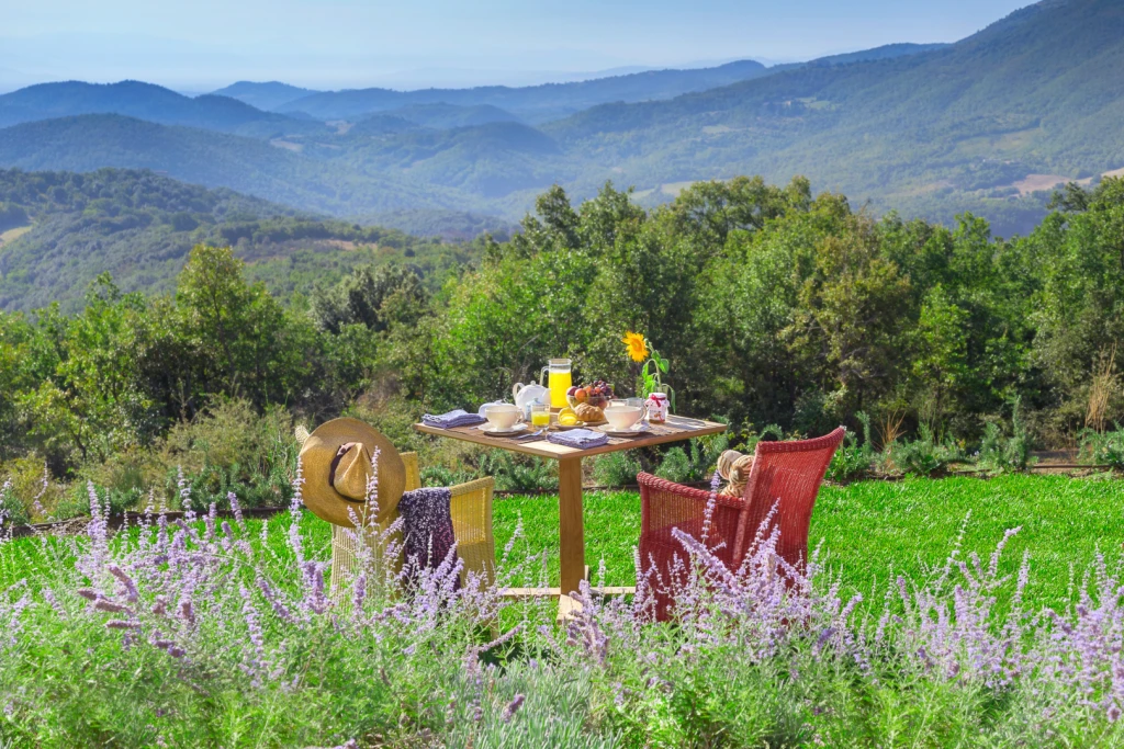 Surrounded by lavender, sage, thyme, olive trees and stunning views