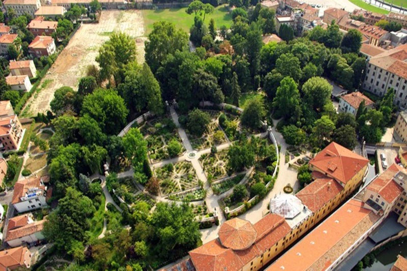Botanical garden Padova