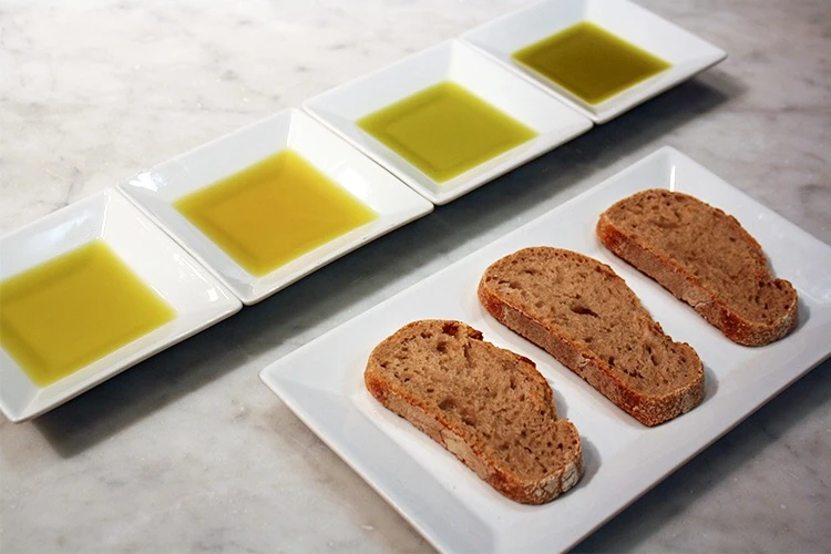Olive Oil Tasting - Spello